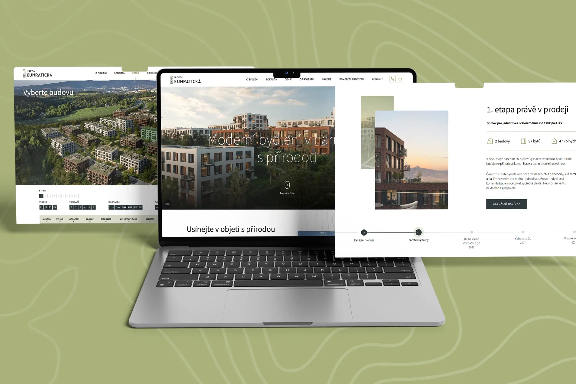 Analytika & Web design